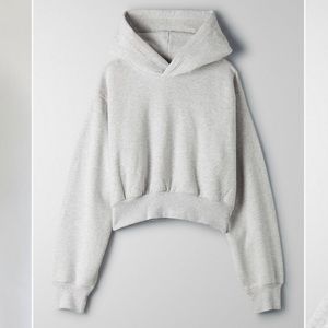 Aritzia - TNA Cozy Fleece Cropped Hoodie